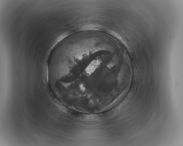 X0000111161219200907141355