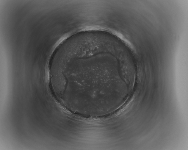 X0000111161221200907141355