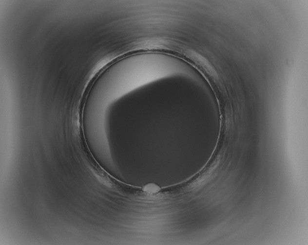 X0000111161226200907141355