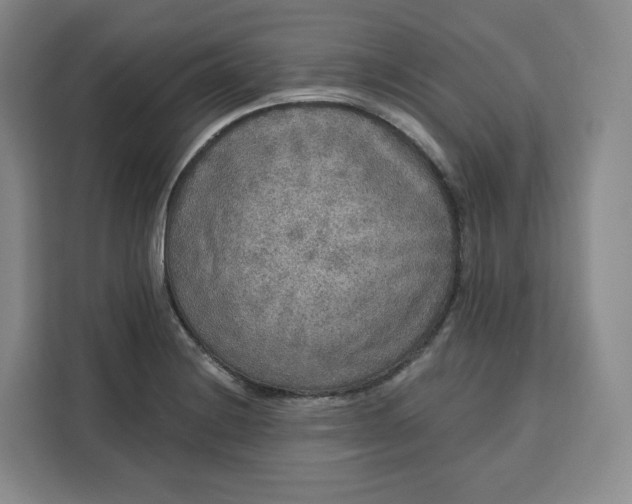 X0000111161228200907141355