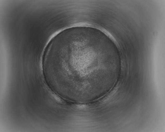 X0000111161230200907141355