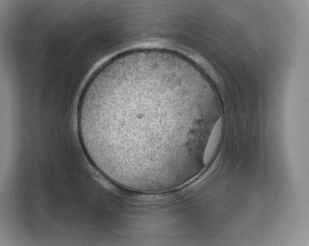 X0000111161232200907141355