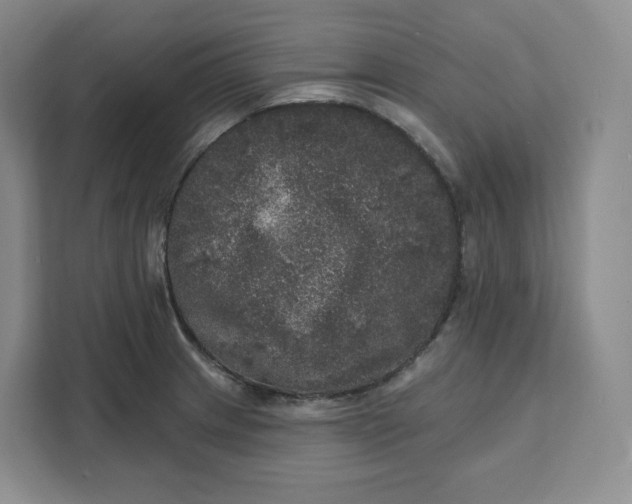 X0000111161233200907141355