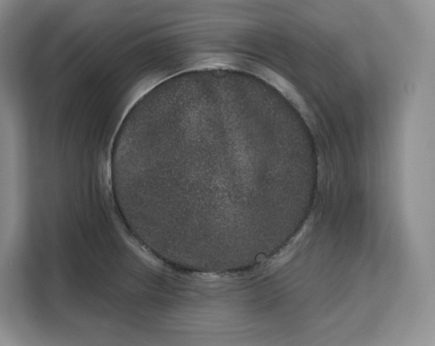 X0000111161234200907141355