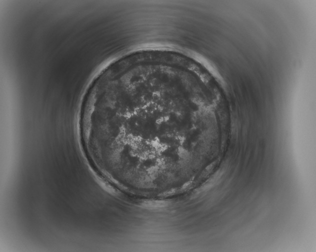 X0000111161237200907141355
