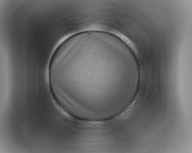 X0000111161238200907141355