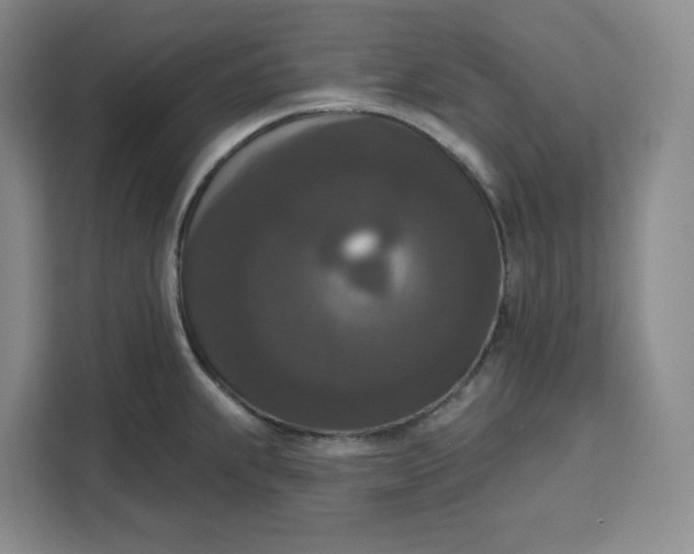 X0000111161239200907141355