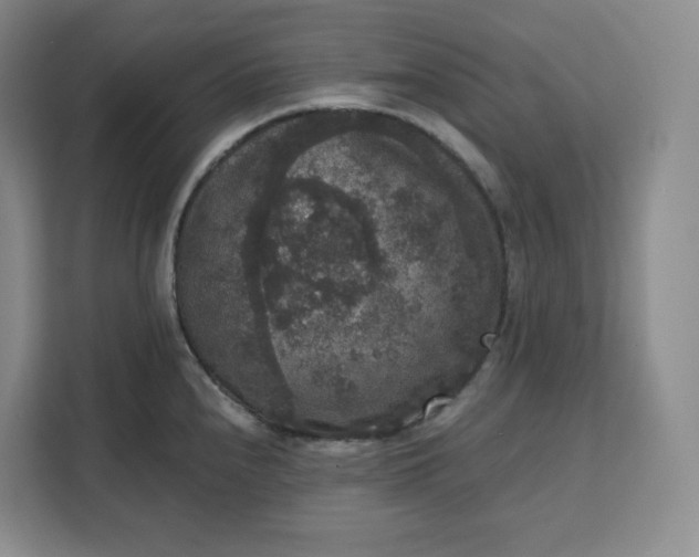 X0000111161240200907141355