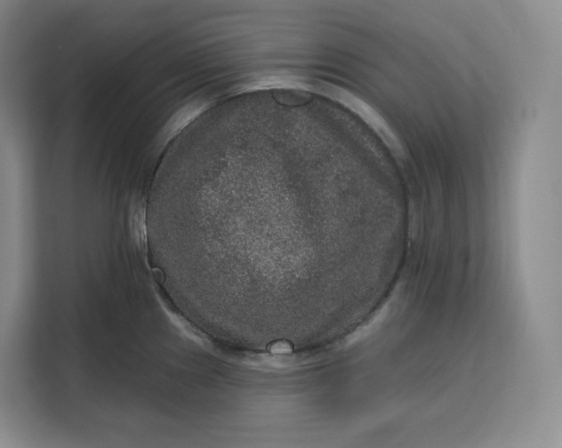 X0000111161241200907141355
