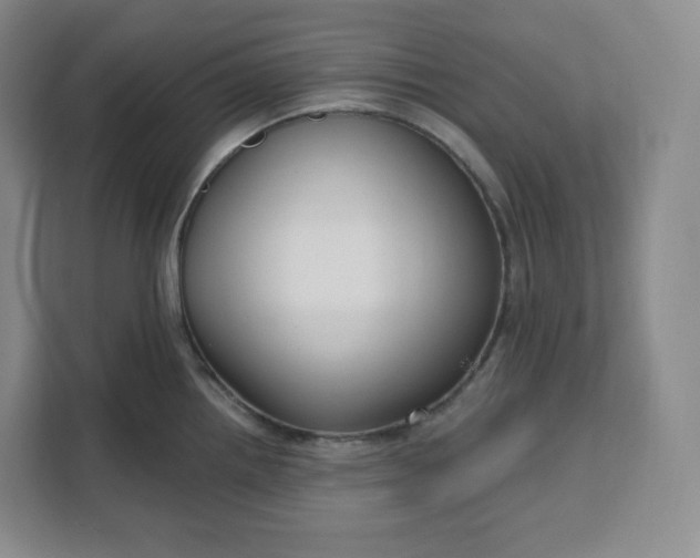 X0000111161242200907141355