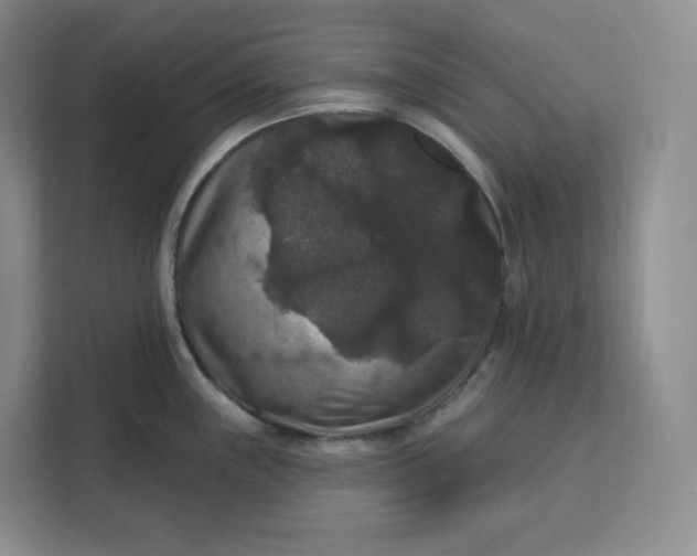 X0000111161243200907141355