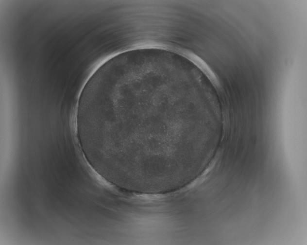 X0000111161244200907141355