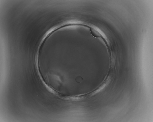 X0000111161245200907141355