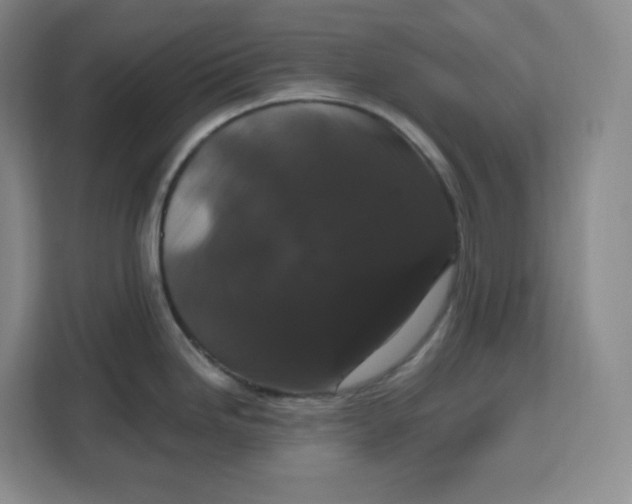 X0000111161246200907141355