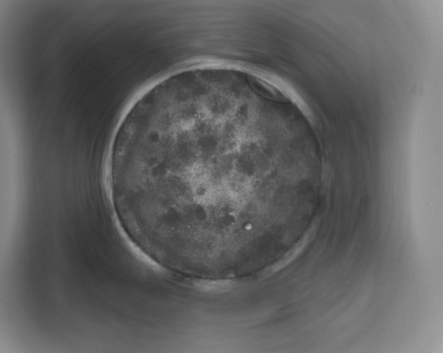 X0000111161247200907141355