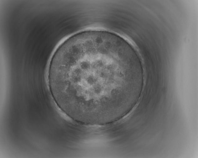 X0000111161248200907141355