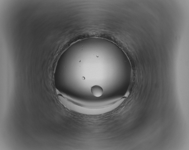 X0000111161249200907141354