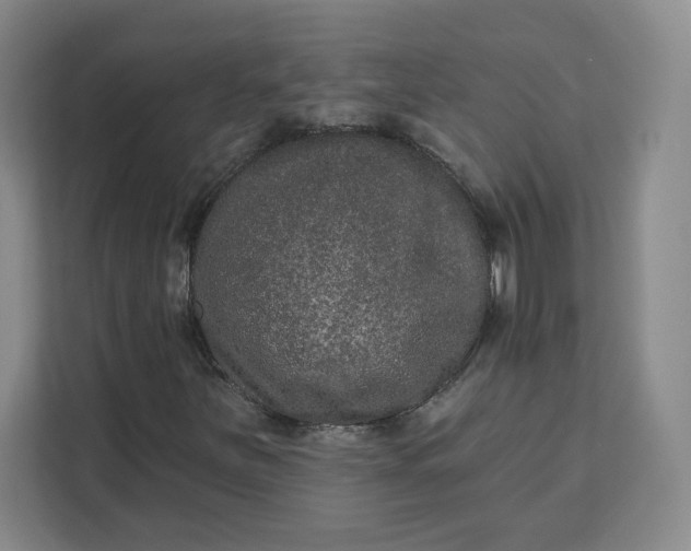 X0000111161251200907141354