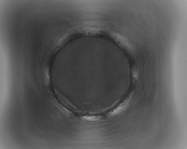 X0000111161252200907141354