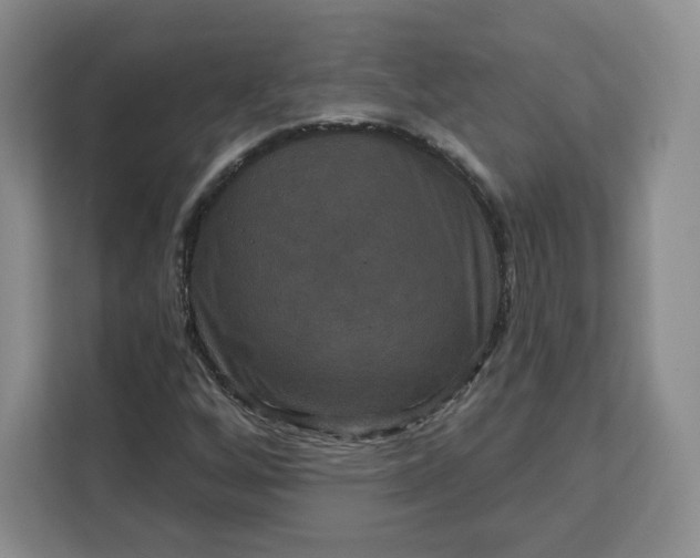 X0000111161256200907141354