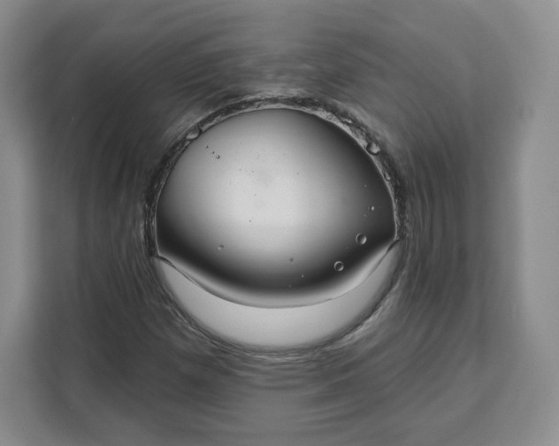 X0000111161257200907141354