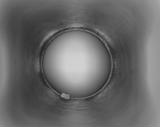 X0000111161262200907141354