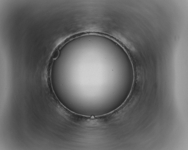 X0000111161264200907141354