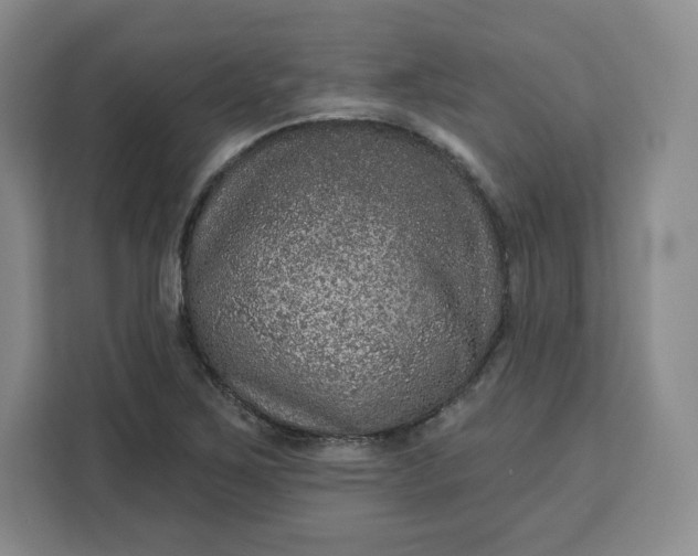 X0000111161267200907141354