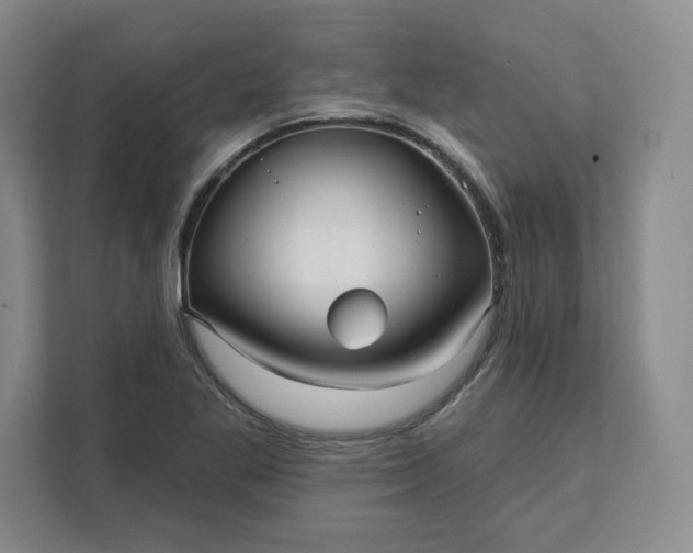 X0000111161269200907141354
