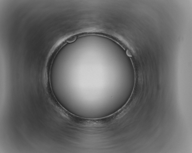 X0000111161270200907141354