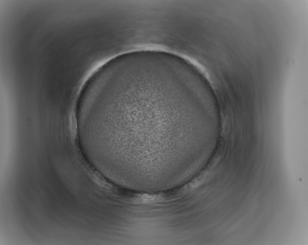 X0000111161271200907141354