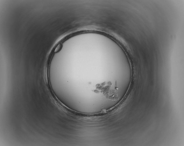 X0000111161272200907141354