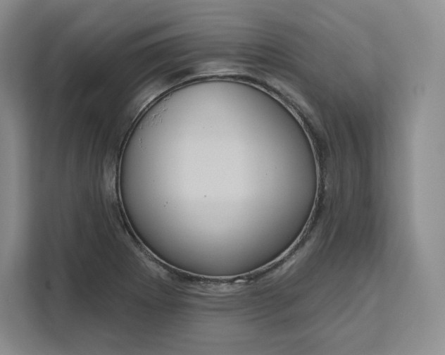 X0000111161273200907141354