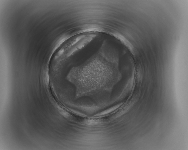 X0000111161274200907141354