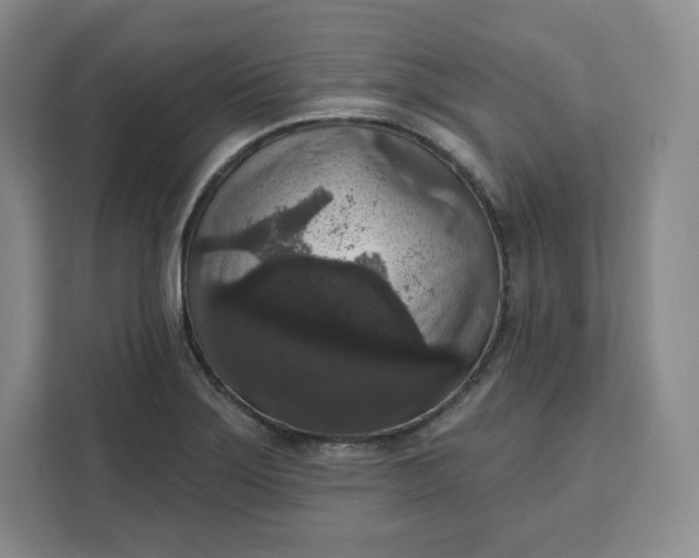 X0000111161275200907141354