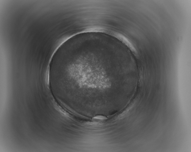 X0000111161276200907141354