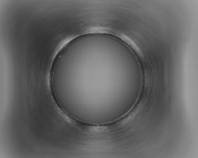 X0000111161277200907141354