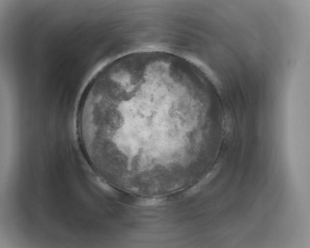 X0000111161278200907141354