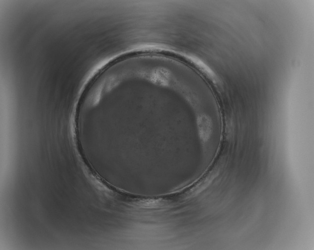 X0000111161279200907141354