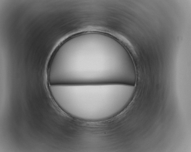 X0000111161280200907141354