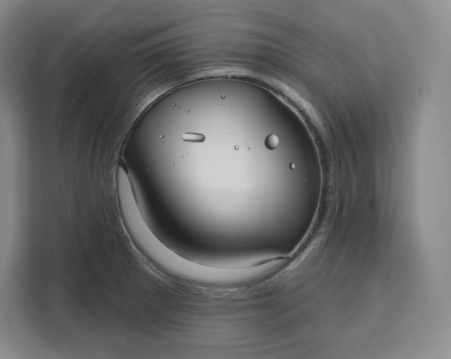 X0000111161281200907141354