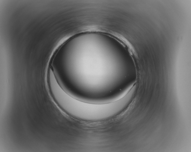 X0000111161285200907141354