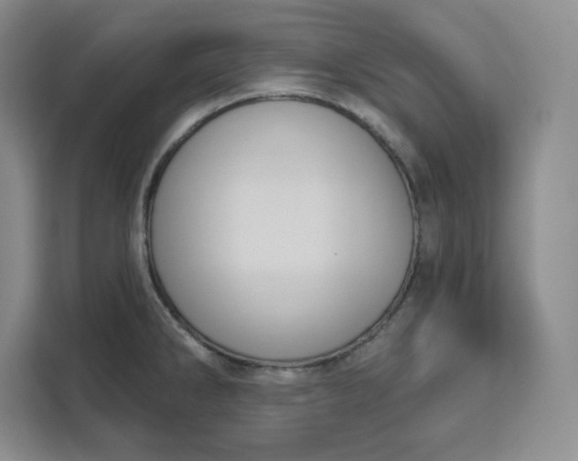 X0000111161286200907141354