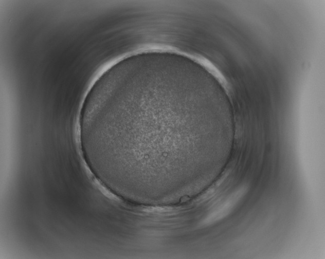 X0000111161287200907141354