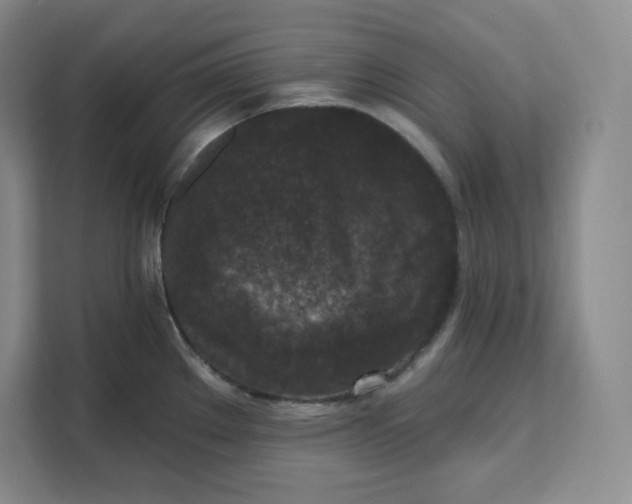 X0000111161289200907141354