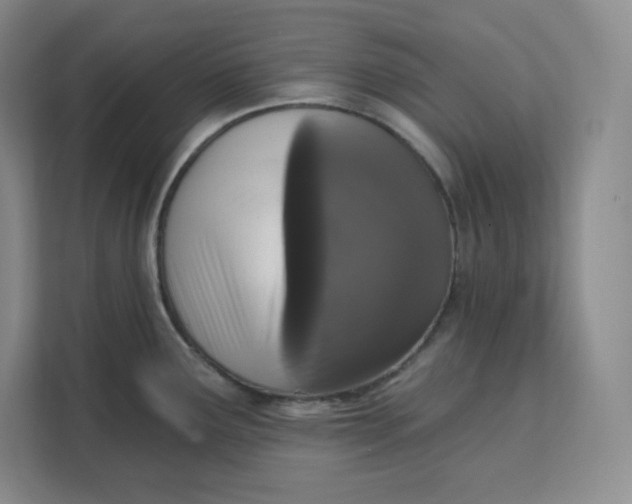 X0000111161291200907141354