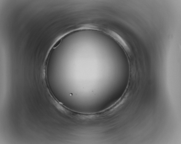 X0000111161292200907141354