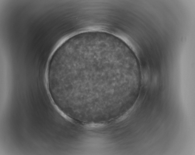 X0000111161294200907141354