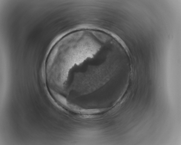X0000111161295200907141354