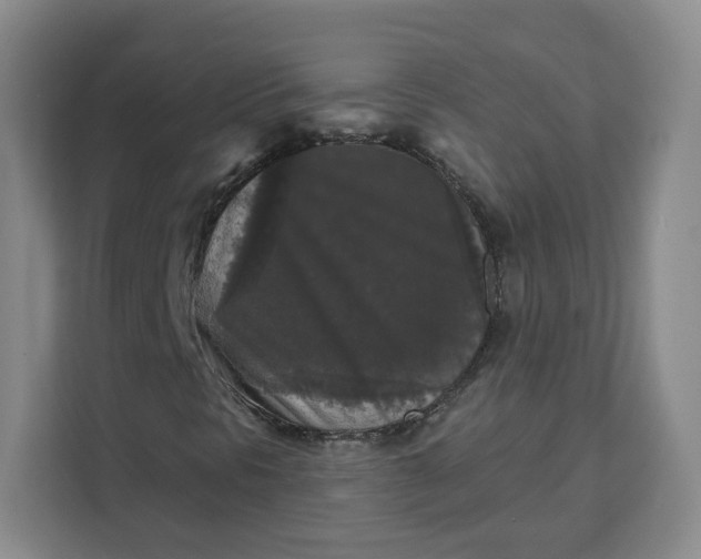 X0000111161297200907141353